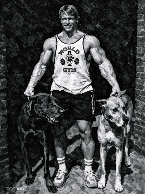 ARNOLDOGS